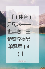 （体育）乒乓球——世乒赛：王楚钦夺得男单冠军（3）